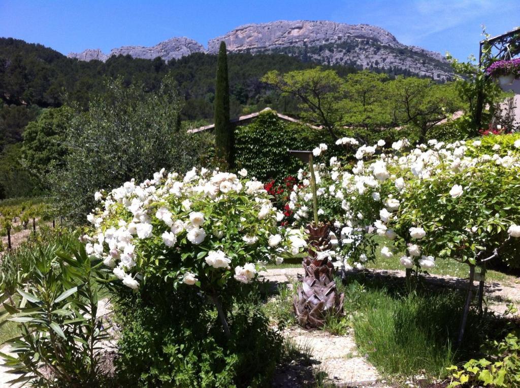 Bed and Breakfast Le Grand Jardin Lafare Exterior foto