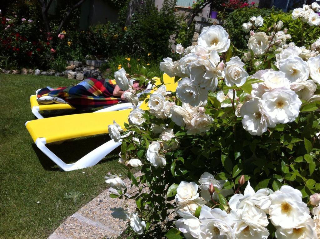Bed and Breakfast Le Grand Jardin Lafare Exterior foto