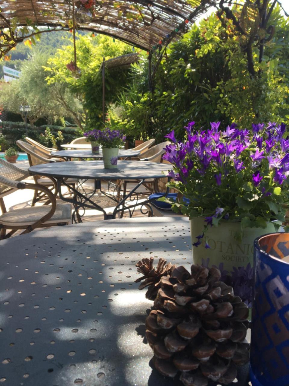 Bed and Breakfast Le Grand Jardin Lafare Exterior foto