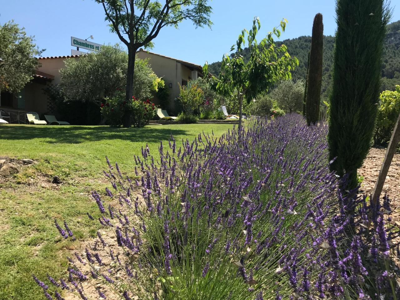 Bed and Breakfast Le Grand Jardin Lafare Exterior foto