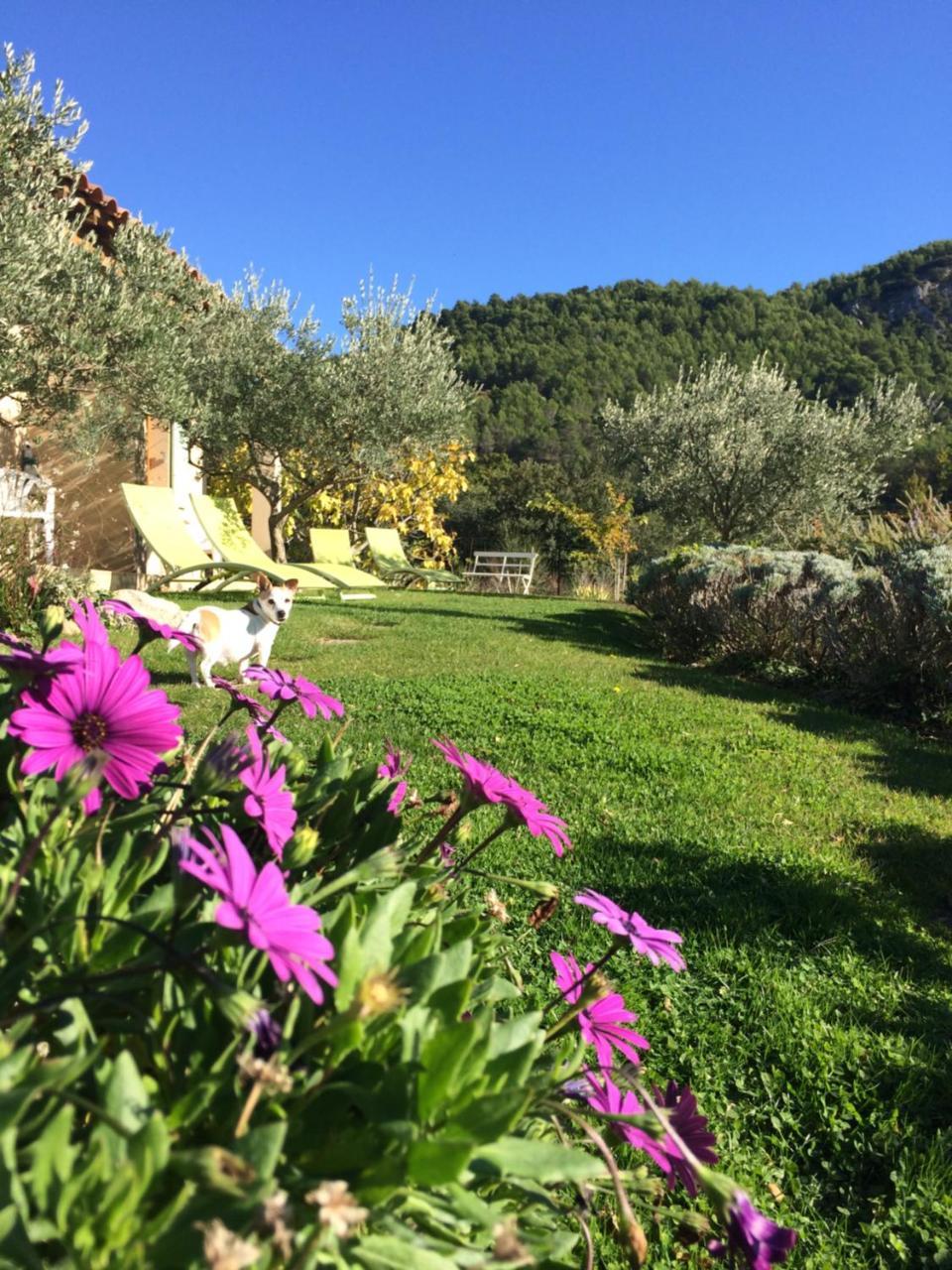 Bed and Breakfast Le Grand Jardin Lafare Exterior foto