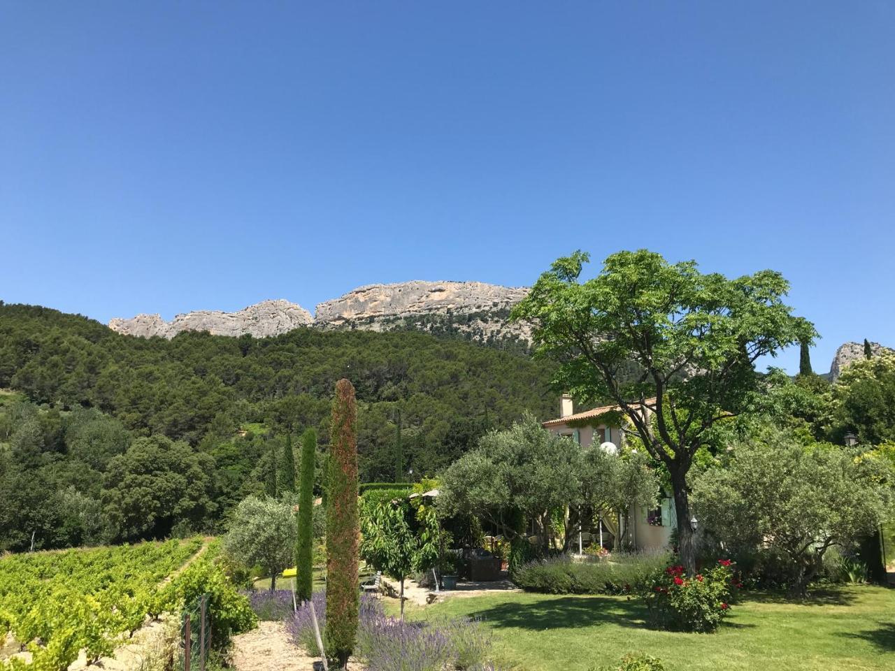 Bed and Breakfast Le Grand Jardin Lafare Exterior foto
